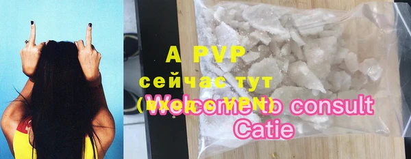 хмурый Магас
