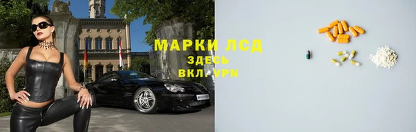 гашик Мегион