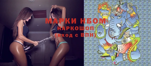 хмурый Магас
