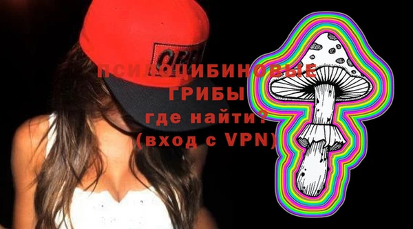 хмурый Магас