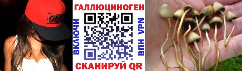 Галлюциногенные грибы прущие грибы  продажа наркотиков  Питкяранта 